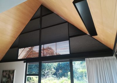 Lumicell Blinds